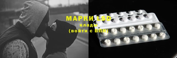 гидра Приозерск