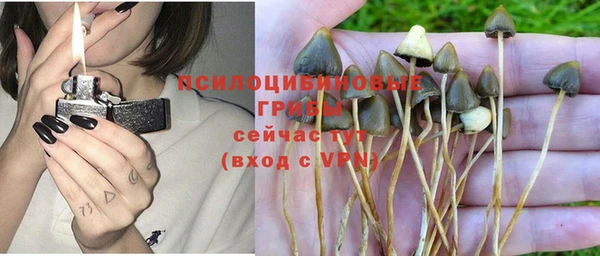 МДПВ Балабаново