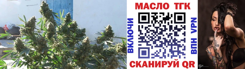 ТГК вейп с тгк  darknet состав  Красный Холм 